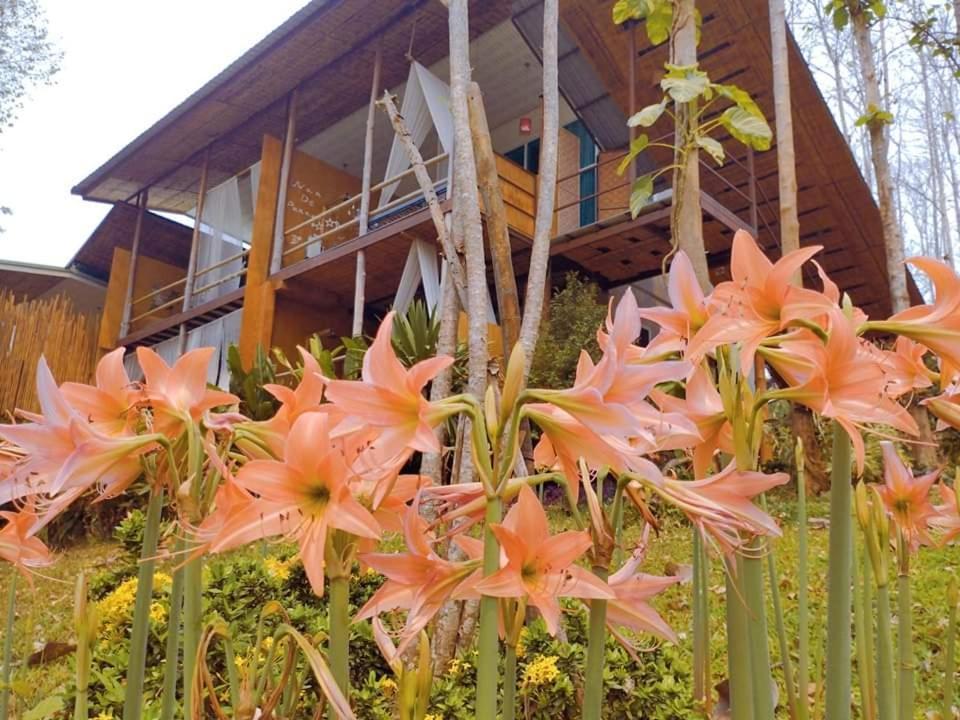 Nan De Panna Resort And Spa מראה חיצוני תמונה